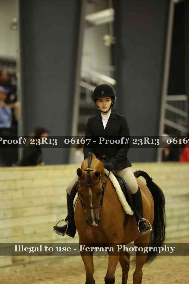 Proof 23R13_06167