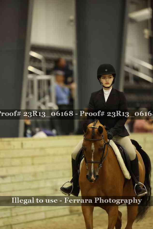 Proof 23R13_06168