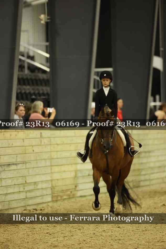 Proof 23R13_06169