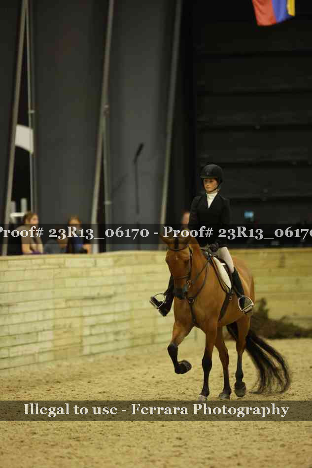 Proof 23R13_06170