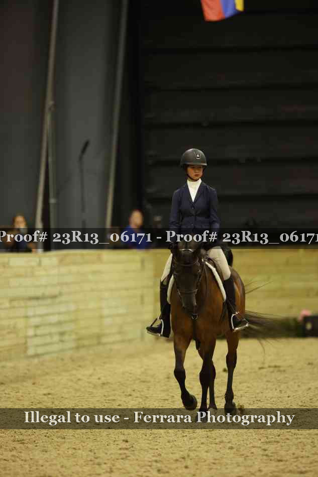 Proof 23R13_06171