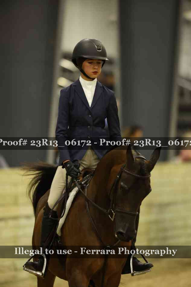 Proof 23R13_06172