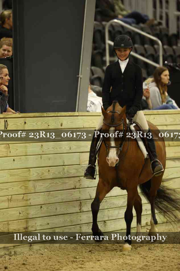 Proof 23R13_06173