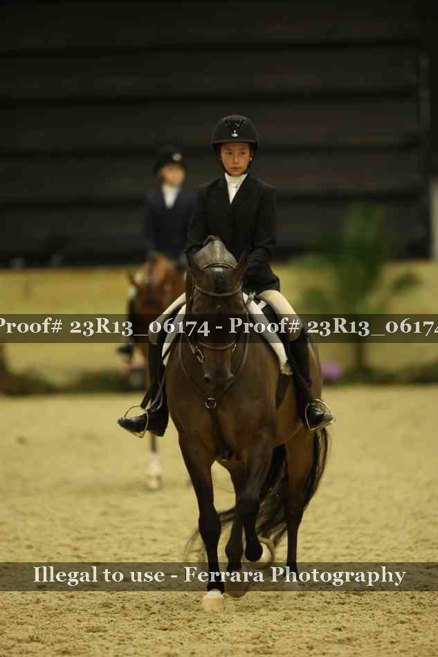 Proof 23R13_06174
