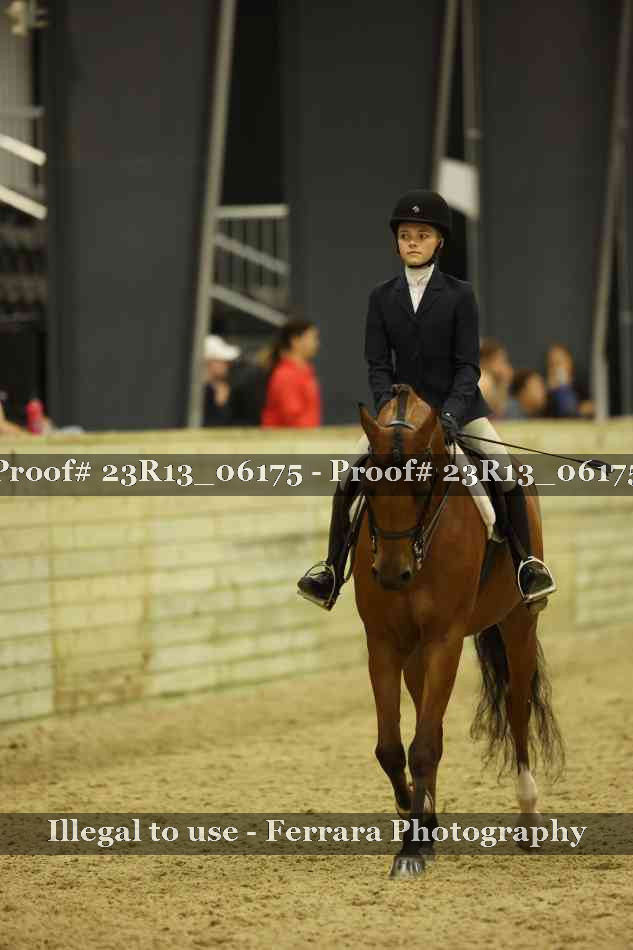 Proof 23R13_06175