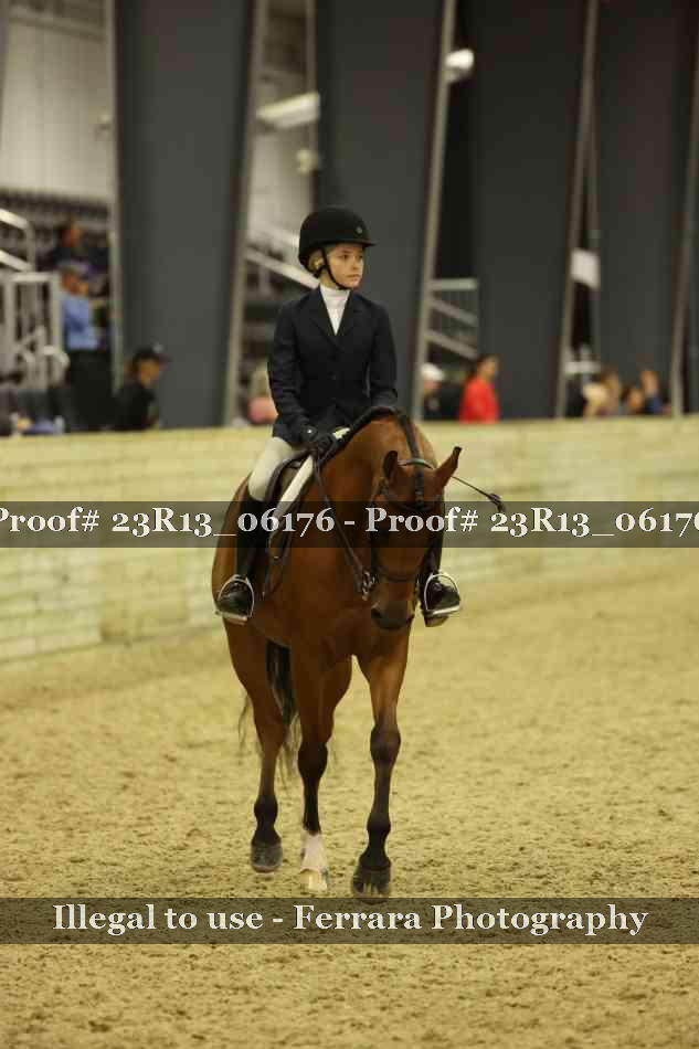 Proof 23R13_06176