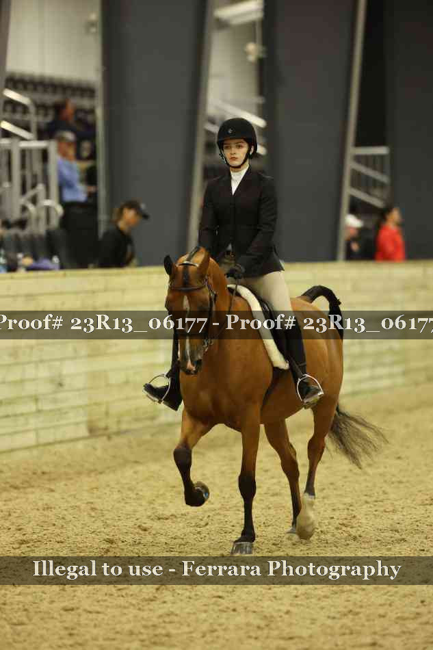 Proof 23R13_06177
