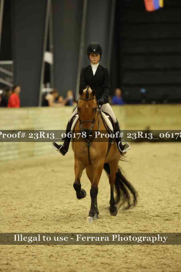 Proof 23R13_06178