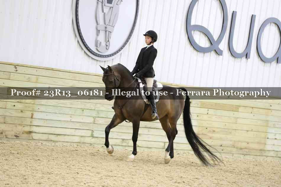 Proof 23R13_06181