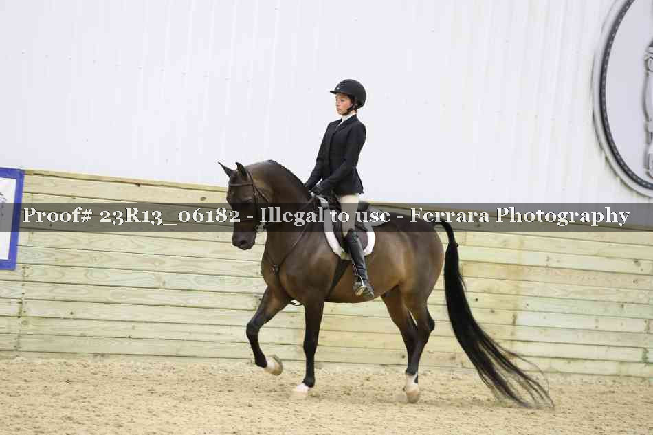 Proof 23R13_06182