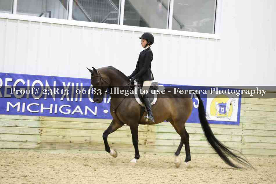 Proof 23R13_06183