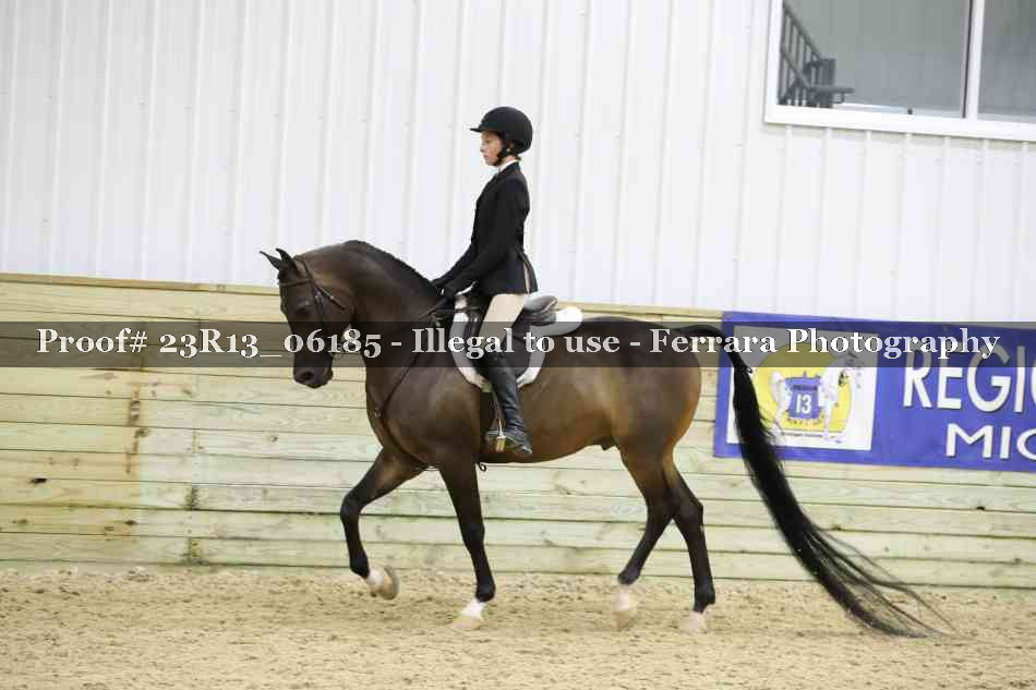 Proof 23R13_06185