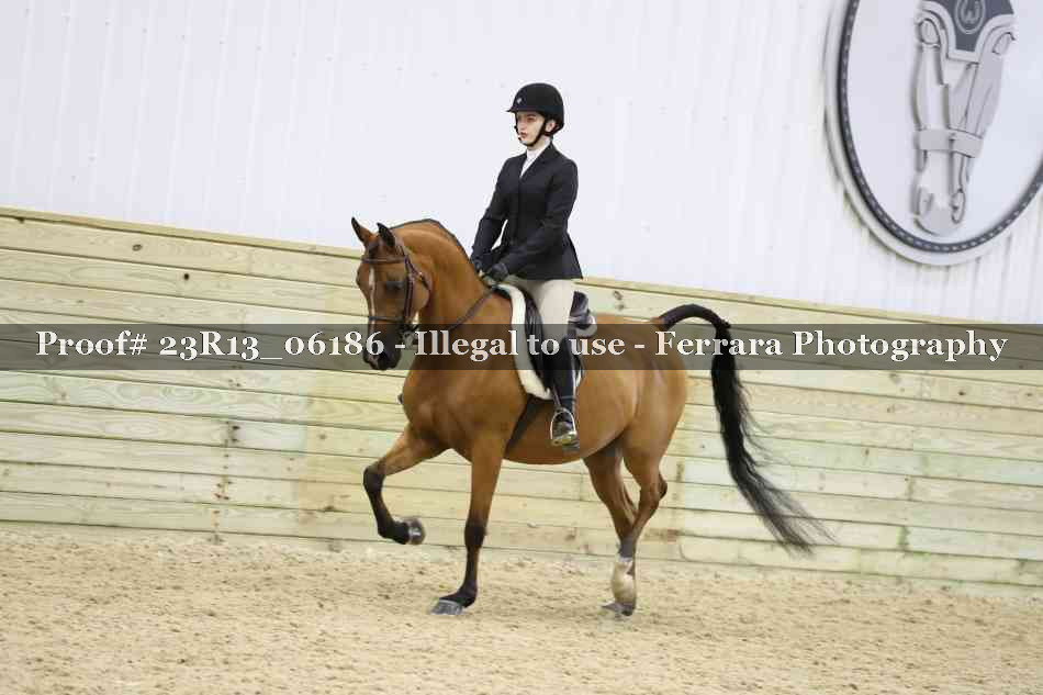 Proof 23R13_06186