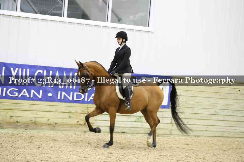 Proof 23R13_06187