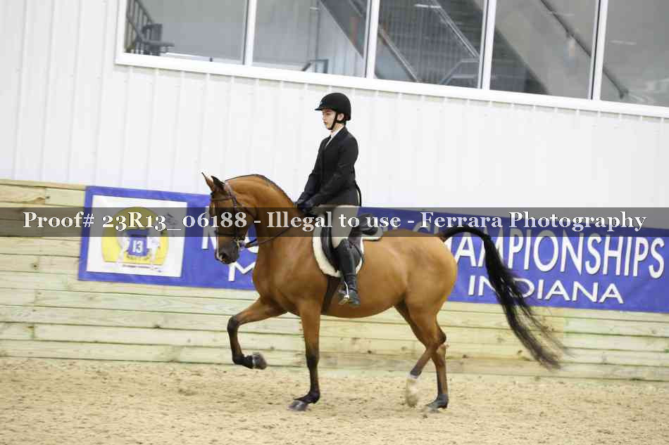 Proof 23R13_06188