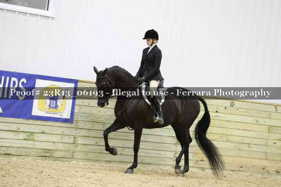 Proof 23R13_06193
