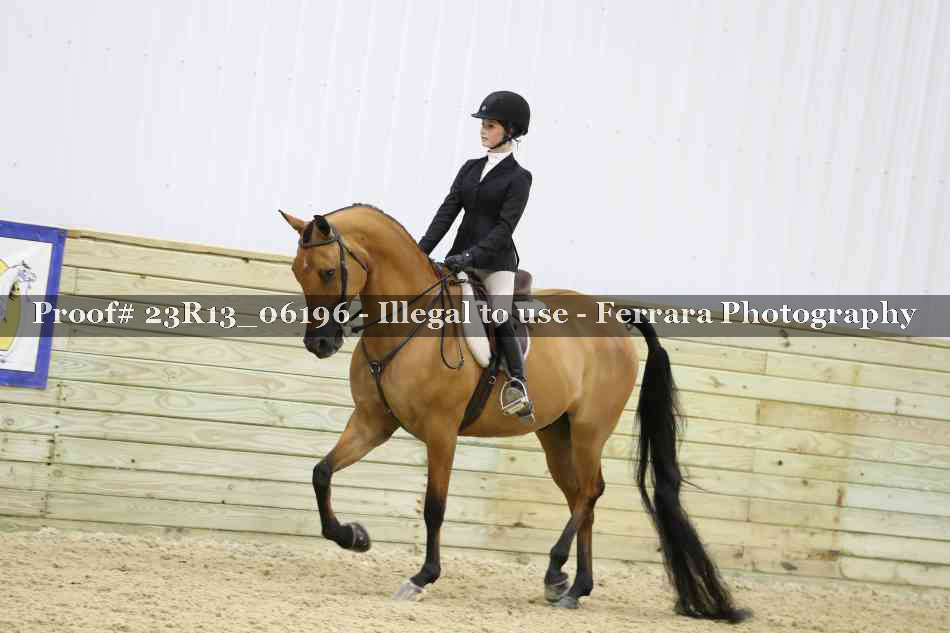 Proof 23R13_06196