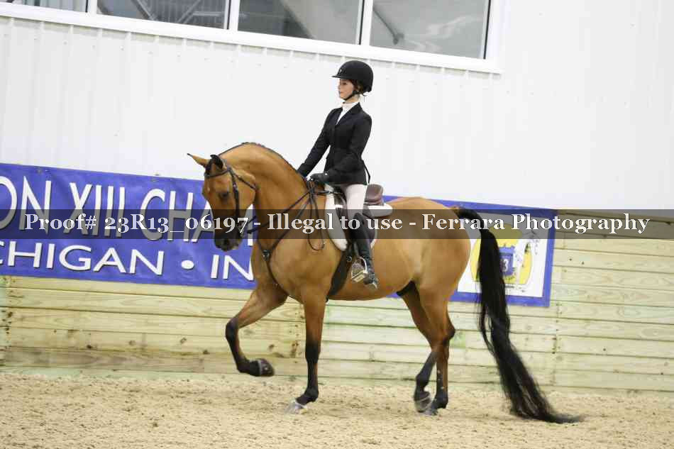 Proof 23R13_06197