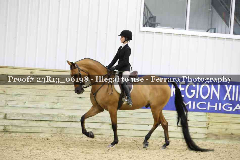 Proof 23R13_06198