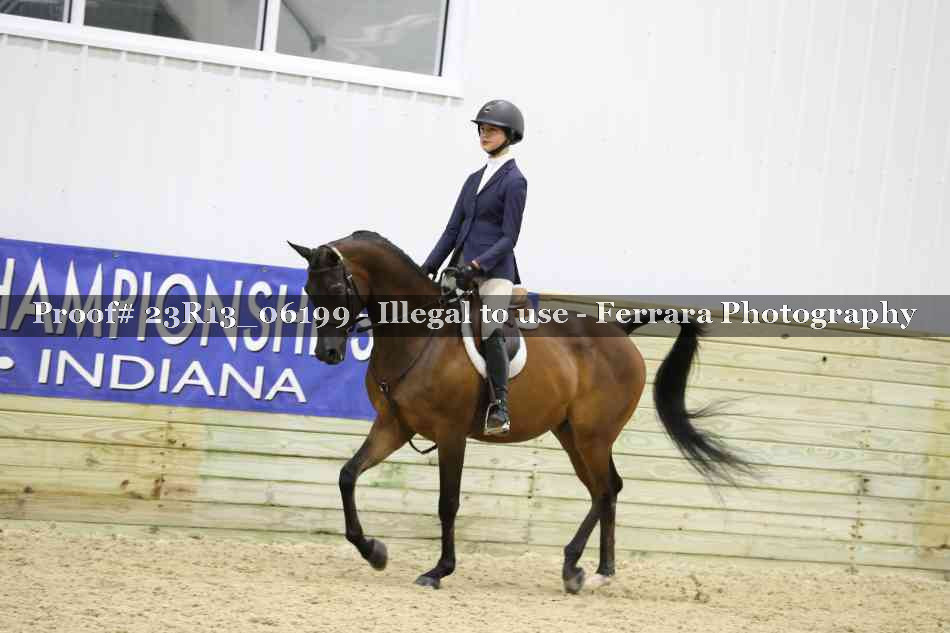 Proof 23R13_06199