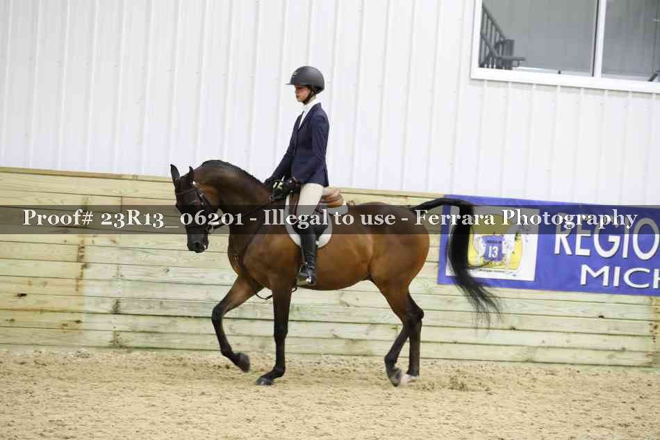 Proof 23R13_06201