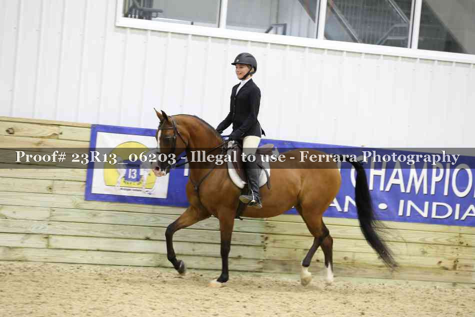 Proof 23R13_06203