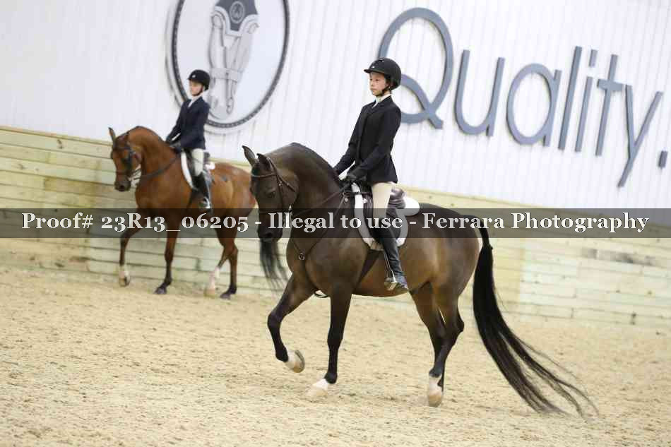 Proof 23R13_06205