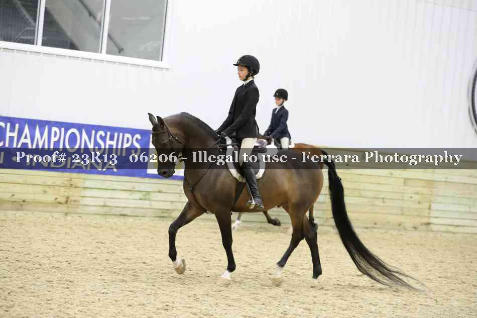 Proof 23R13_06206