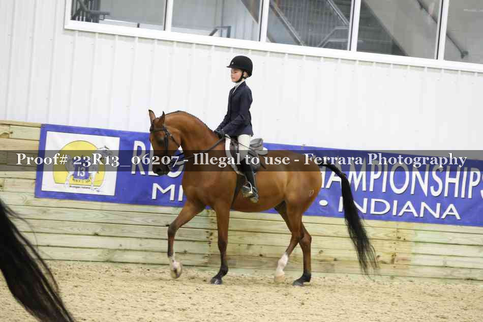 Proof 23R13_06207