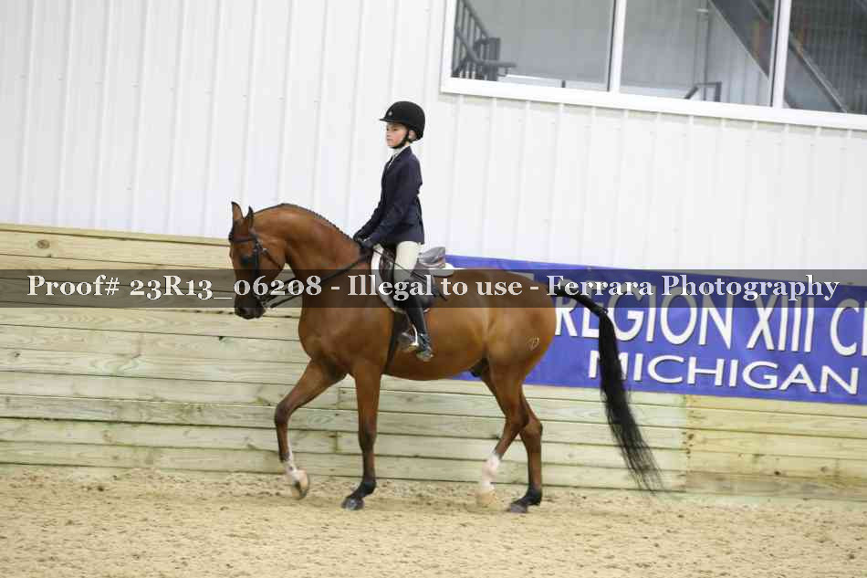 Proof 23R13_06208