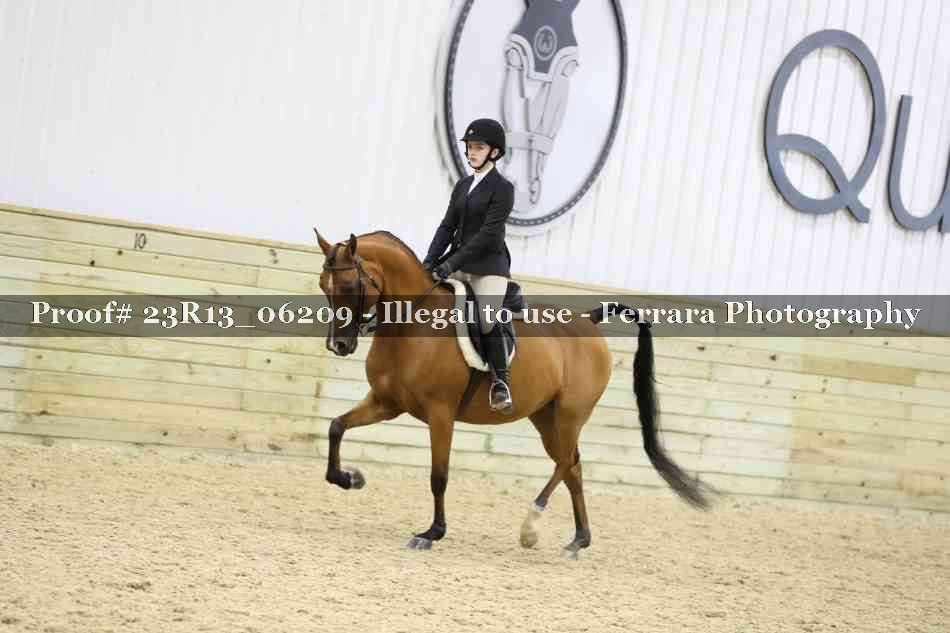 Proof 23R13_06209