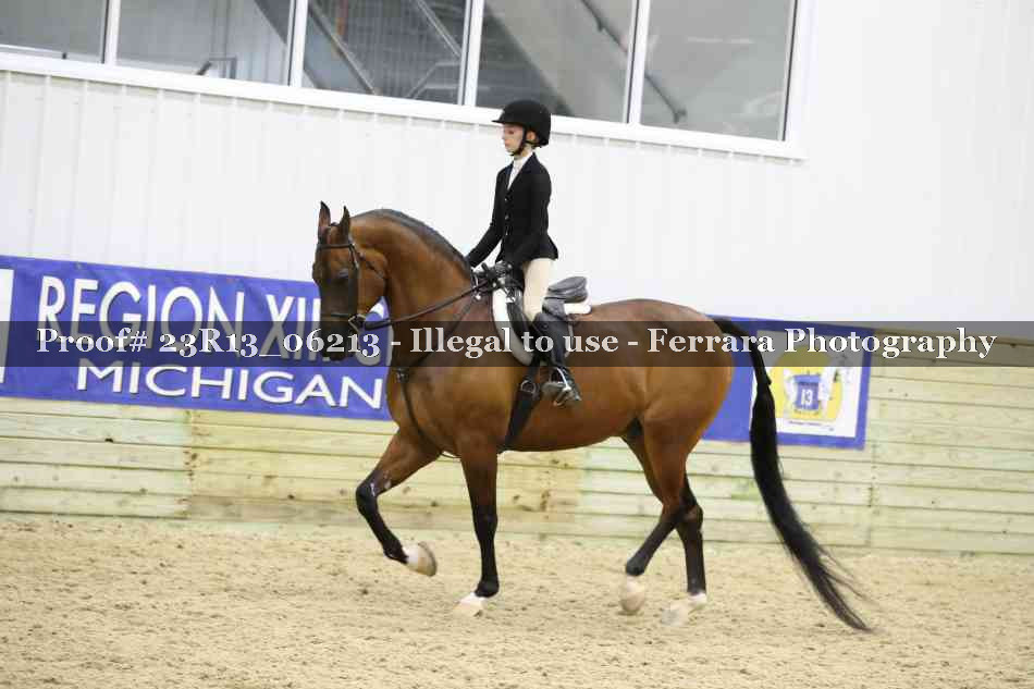 Proof 23R13_06213