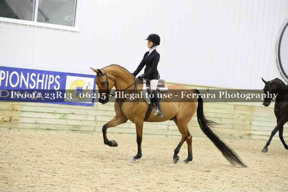 Proof 23R13_06215