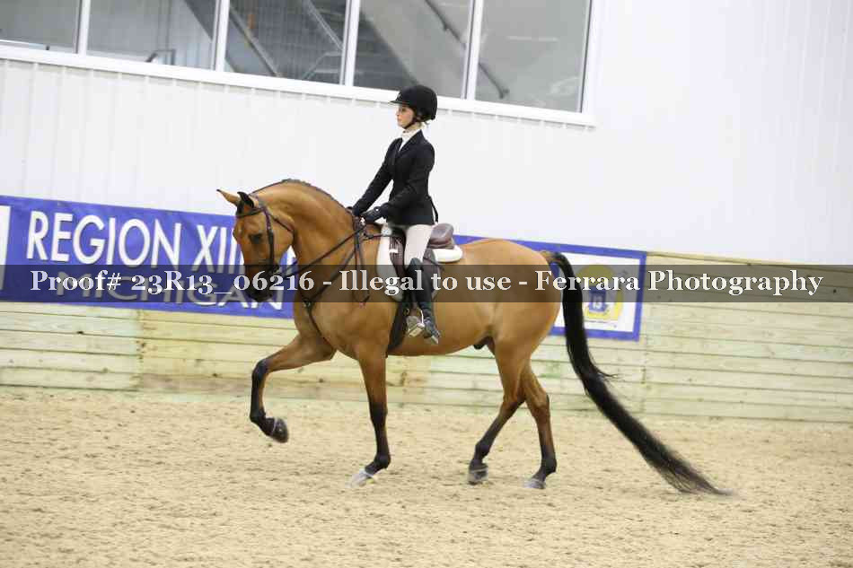 Proof 23R13_06216