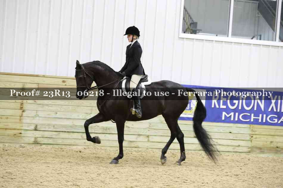 Proof 23R13_06218