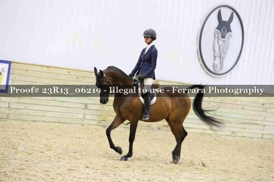Proof 23R13_06219