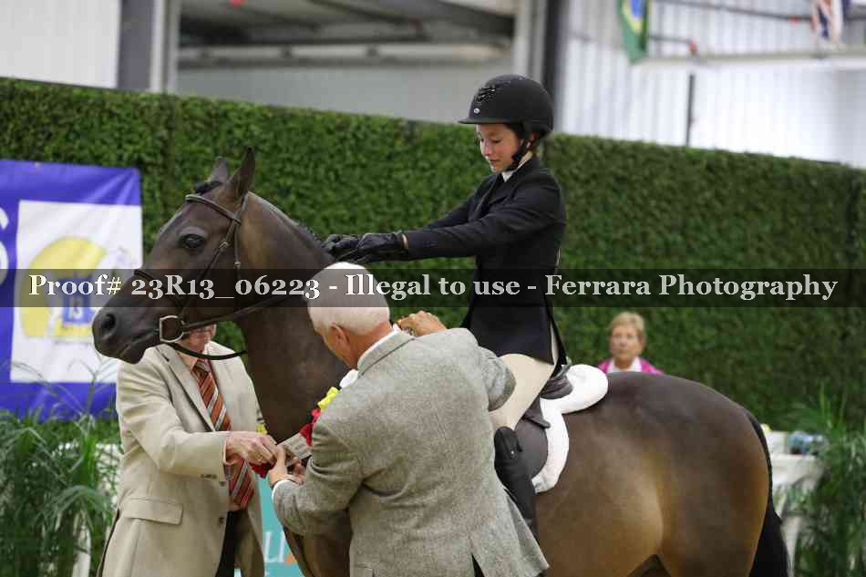 Proof 23R13_06223