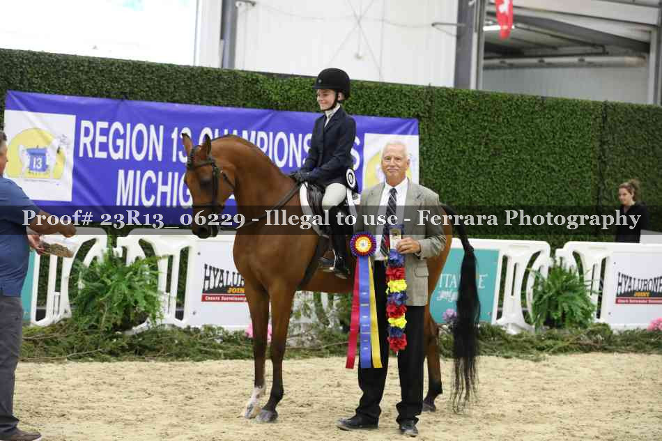 Proof 23R13_06229