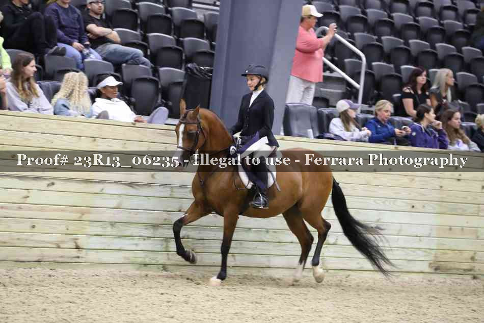 Proof 23R13_06235