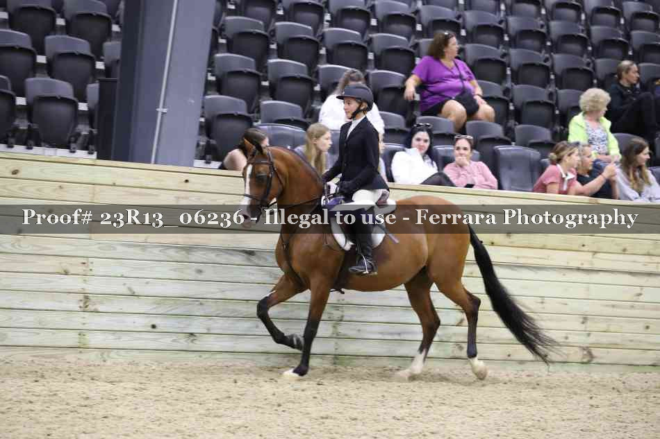 Proof 23R13_06236
