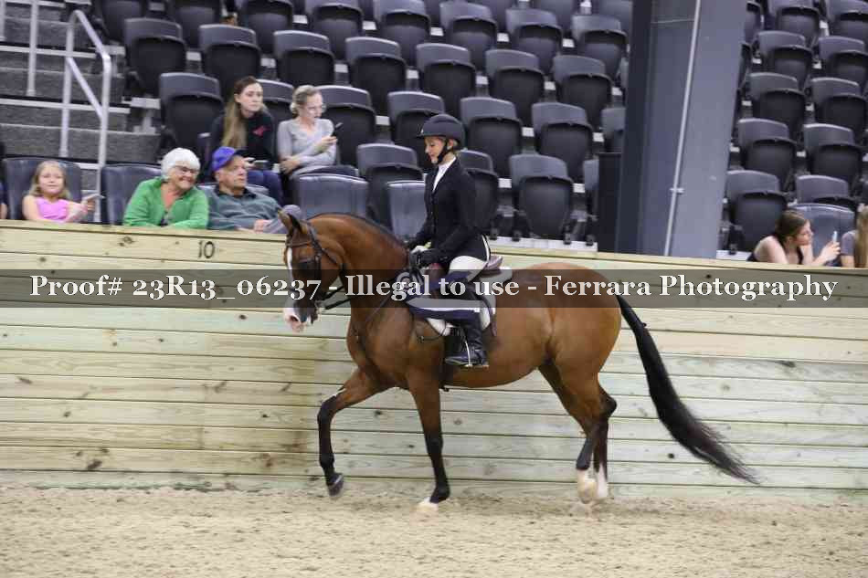 Proof 23R13_06237