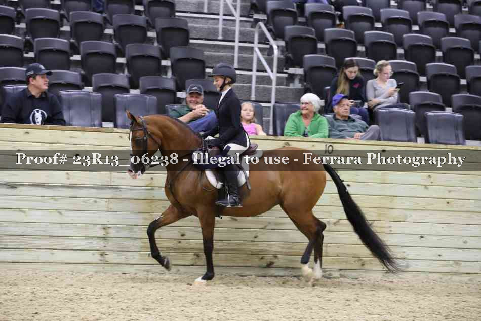 Proof 23R13_06238