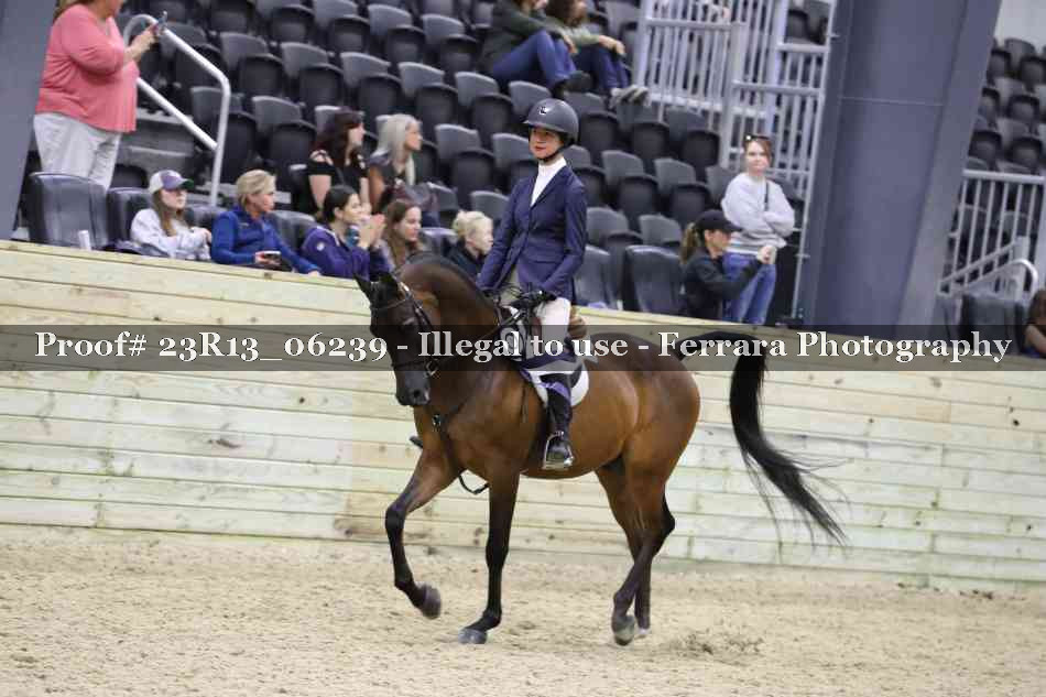 Proof 23R13_06239