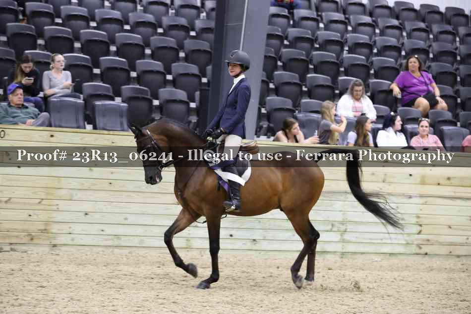 Proof 23R13_06241