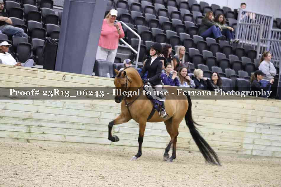 Proof 23R13_06243