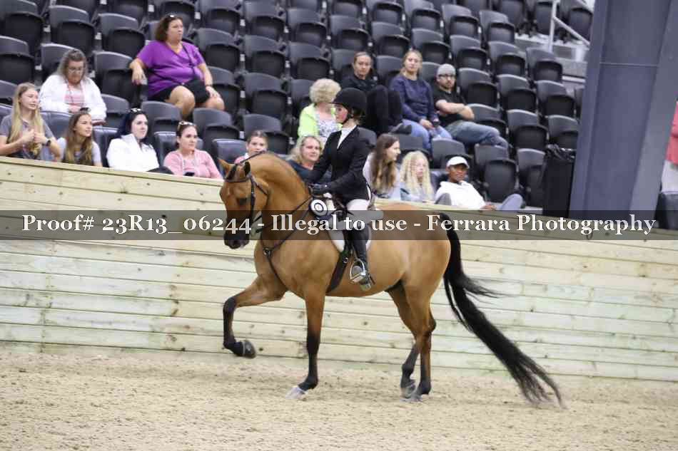 Proof 23R13_06244