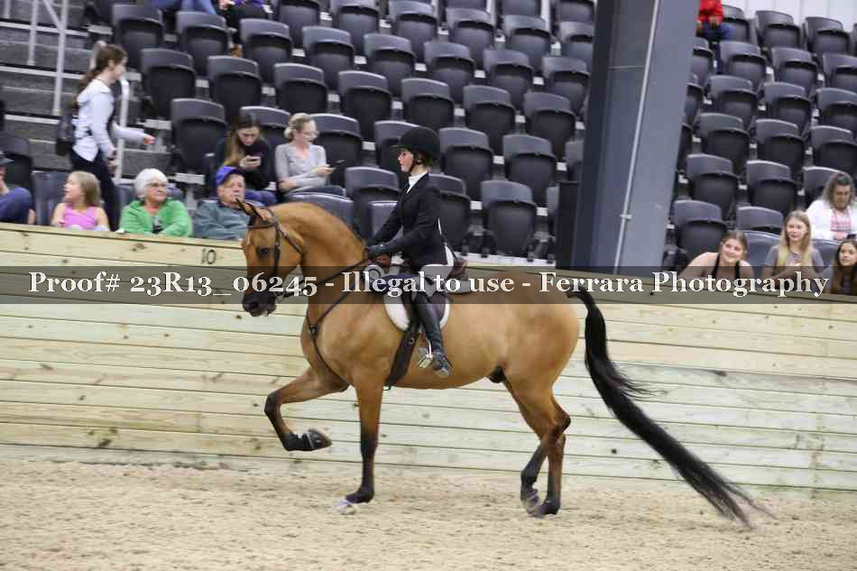 Proof 23R13_06245