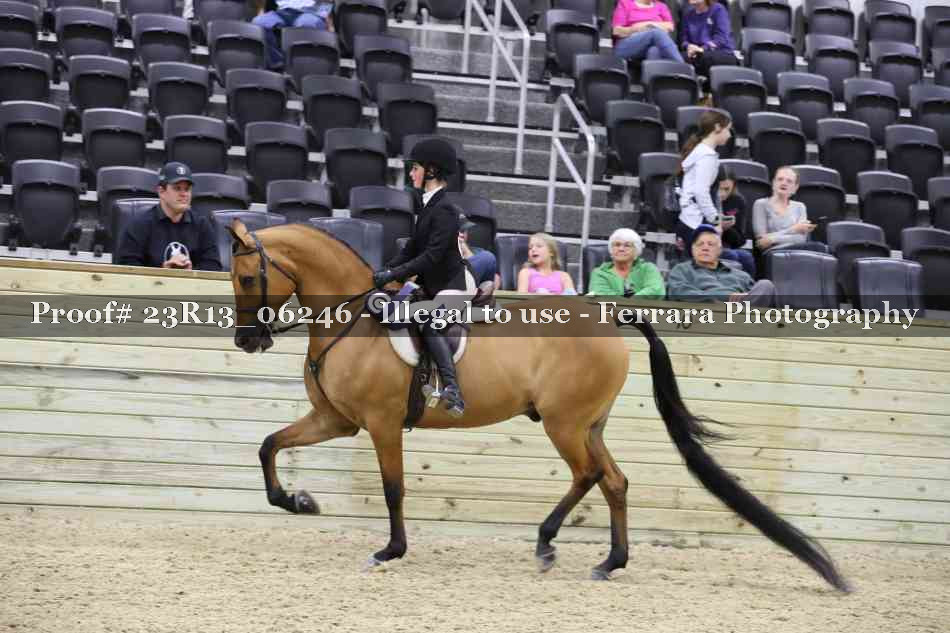 Proof 23R13_06246