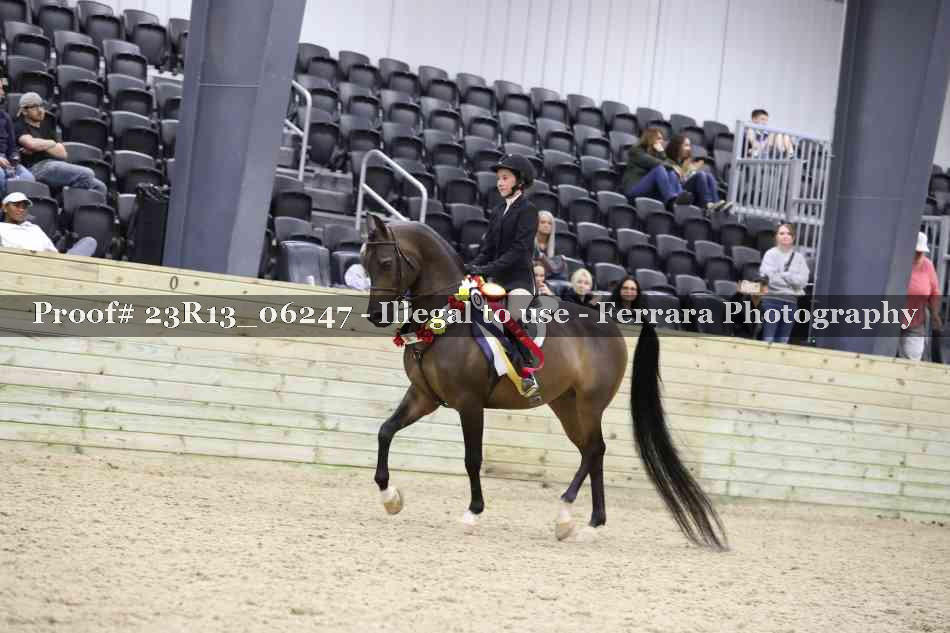Proof 23R13_06247