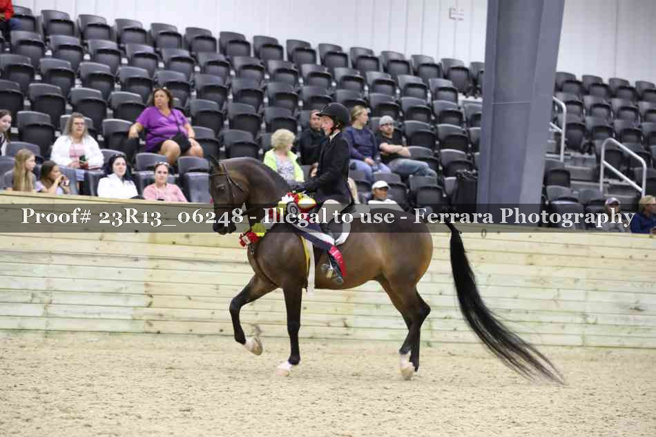 Proof 23R13_06248